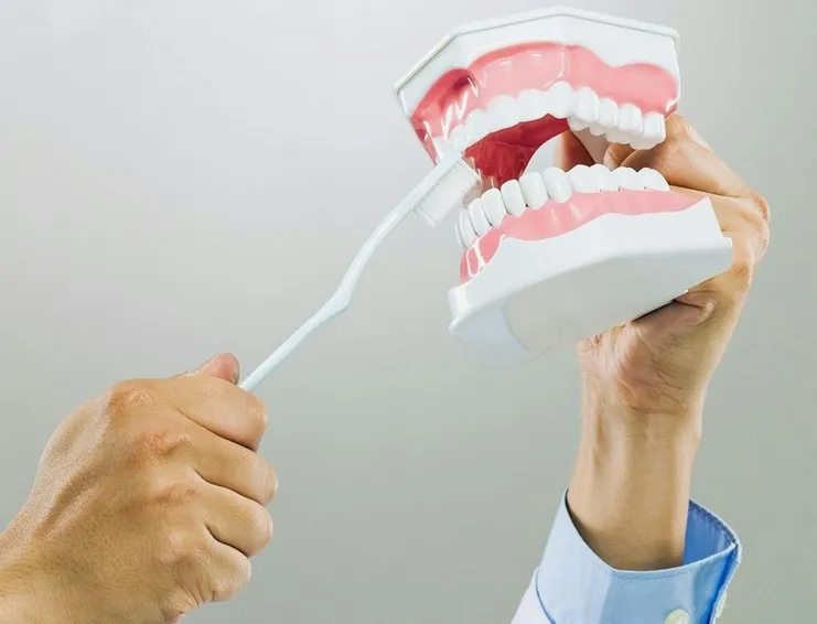 Tandköttet den del som ofta avgör helheten