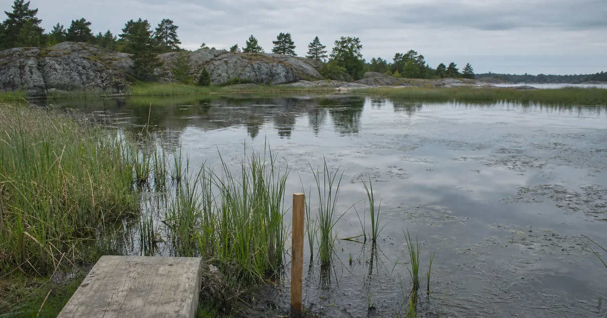 Anlagd våtmark i skärgårdsmiljö liknande den vid Södra Fladen på Utö